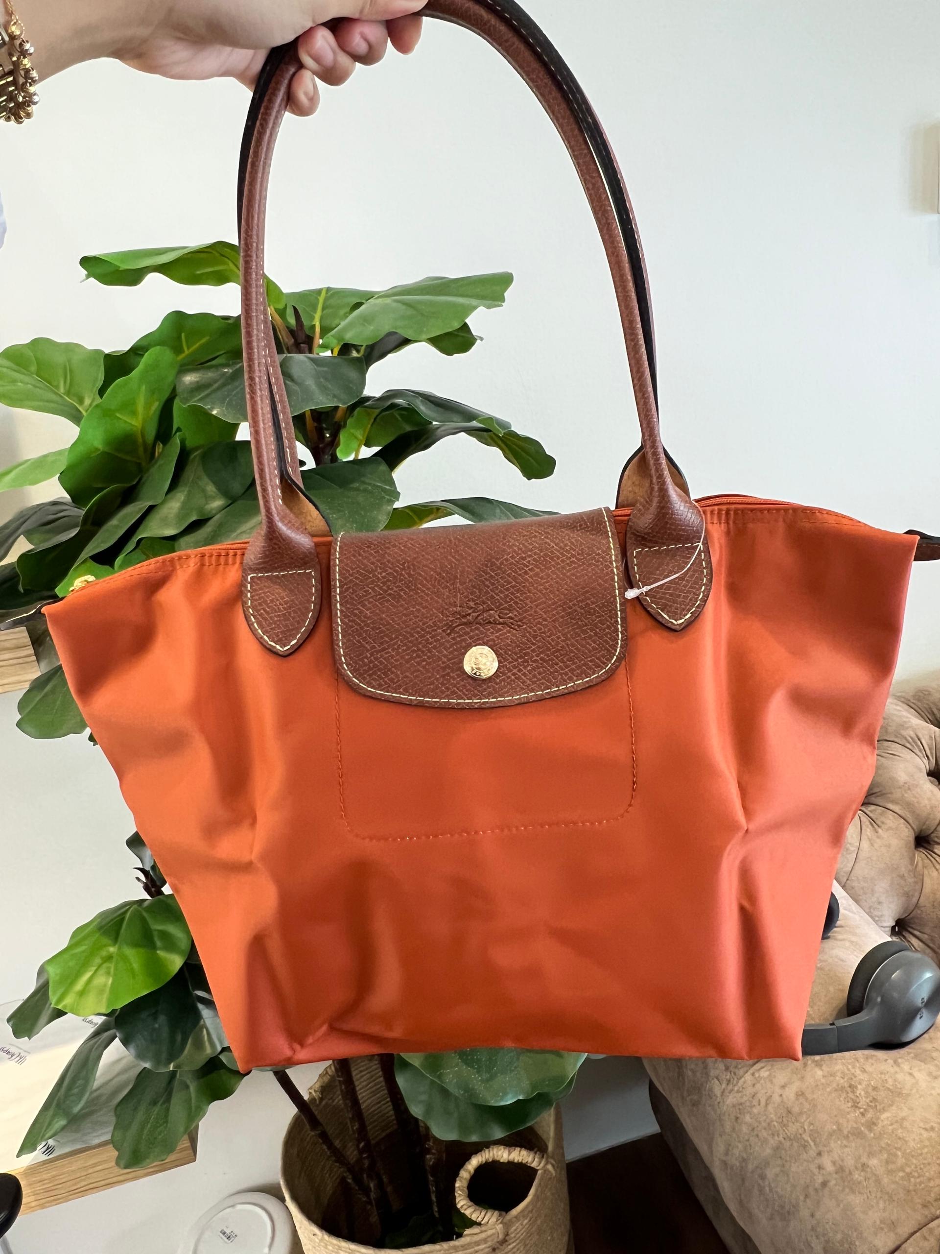 WhatsApp Image 2025-11-11 at 10.08.32 PM